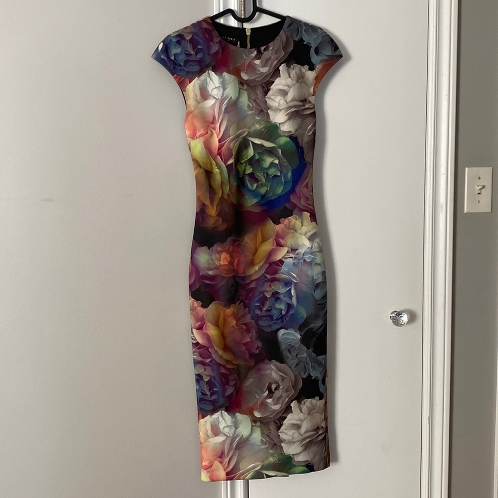 NWT TED BAKER Dress Size 0 (US Size 2)